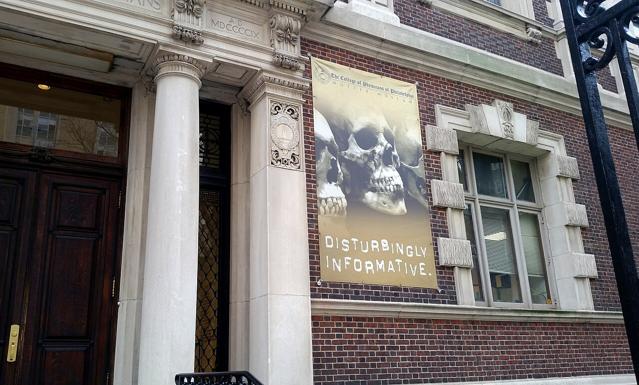 Mütter Museum